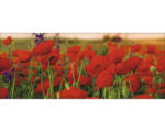 Hornbach Glasbild Summer Poppy field 30x80 cm