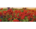 Hornbach Glasbild Summer Poppy field 30x80 cm