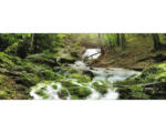 Hornbach Glasbild Mystic Ways 30x80 cm GLA985