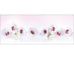Hornbach Glasbild Softness 50x125 cm