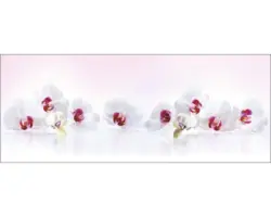 Glasbild Softness 30x80 cm GLA988