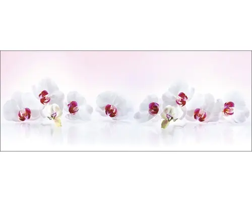 Glasbild Softness 30x80 cm GLA988