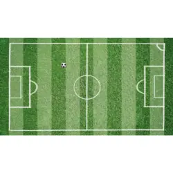 Outdoorteppich 90/160 cm