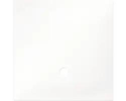 Abdeckscheibe für NanoCube 10 Liter