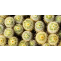 Outdoorteppich 70/140 cm