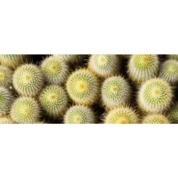 Outdoorteppich 70/180 cm