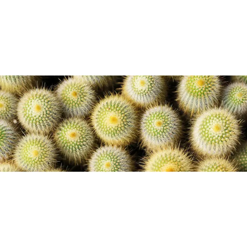 Outdoorteppich 70/180 cm