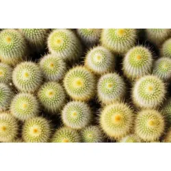 Outdoorteppich 90/135 cm