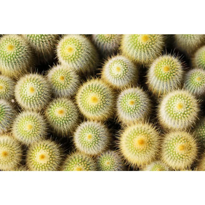 Outdoorteppich 90/135 cm