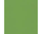 Hornbach Steinzeug Wandfliese Colour 19,8x19,8 cm grün glänzend