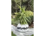 Hornbach Gabione Olimpia L Ø 60x39 cm
