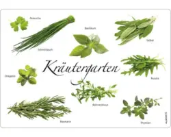 K&uuml;chenr&uuml;ckwand mySpotti pop Kr&auml;utergarten 590x410x2 mm