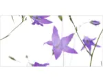 Hornbach Badrückwand mySpotti Aqua Glockenblume 900x450x2 mm 150911 weiß lila