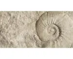 Hornbach Badrückwand mySpotti Aqua Fossil 900x450x2 mm 150915 beige