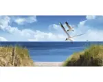 Hornbach Badrückwand mySpotti Aqua North Sea 900x450x2 mm 150925 grün