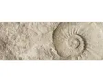 Hornbach Badrückwand mySpotti Aqua Fossil 1200x450x2 mm 151215 beige