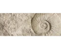 Badrückwand mySpotti Aqua Fossil 1200x450x2 mm 151215 beige