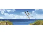 Hornbach Badrückwand mySpotti Aqua North Sea 1200x450x2 mm 151225 blau