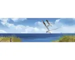 Hornbach Badrückwand mySpotti Aqua North Sea 1400x450x2 mm 151425 blau