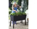 Hornbach Hochbeet auf Stelzen Keter Easy growing 114 x 49,3 x 75,7 cm anthrazit