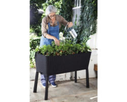 Hochbeet auf Stelzen Keter Easy growing 114 x 49,3 x 75,7 cm anthrazit