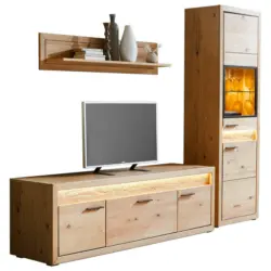 Wohnwand 253,8/198,4/49 cm in Eichefarben