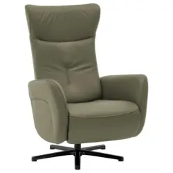 Relaxsessel in Leder Grau, Grün