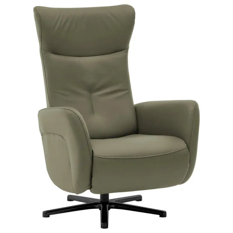 Relaxsessel in Leder Grau, Grün