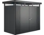 Hornbach Gartenhaus Biohort HighLine inkl. Dachrinne Regale Set Lüftung Oberlicht 254 x 134 cm dunkelgrau-metallic