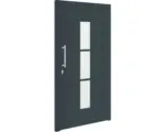 Hornbach Haustür Aluminium Dakota anthrazit 1100 x 2100 mm links