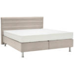 XXXLutz Lauterach - Ihr Möbelhaus bei Bregenz Boxspringbett 160/200 cm in Beige