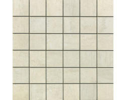 Feinsteinzeugmosaik Sokio 30,0x30,0 cm beige matt