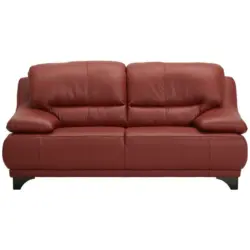 Zweisitzer-Sofa in Echtleder Rot