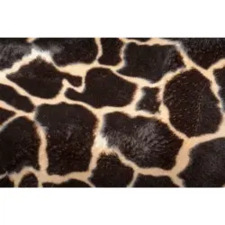 Outdoorteppich 90/135 cm