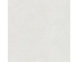 Vliestapete 1036-11 Meistervlies 2020 Kellenputz