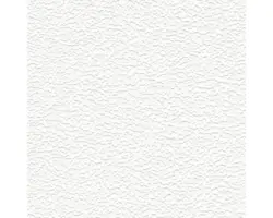 Vliestapete 2458-16 Meistervlies 2020 Feinputz