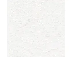 Vliestapete 2487-18 Meistervlies 2020 Putzstruktur