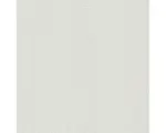 Hornbach Vliestapete 3100-19 Filzputz weiß