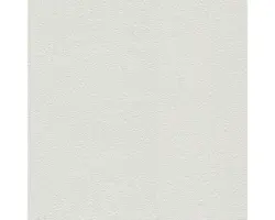 Vliestapete 3100-19 Filzputz weiß