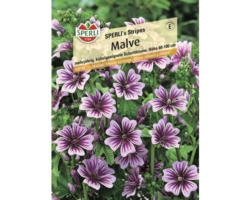 Malve Sperli Blumensamen 'Malve'