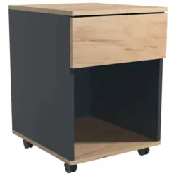 Rollcontainer 39/55/45 cm