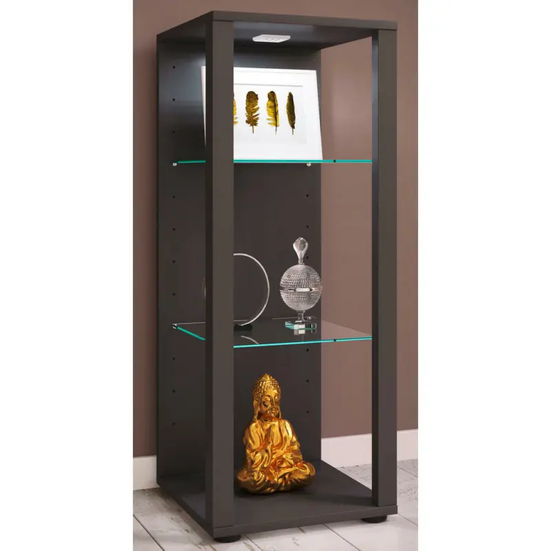 Vitrine in Anthrazit