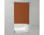 Hornbach Soluna Verdunkelungsrollo V17, uni terra, 180x190 cm