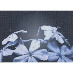 Outdoorteppich 170/240 cm