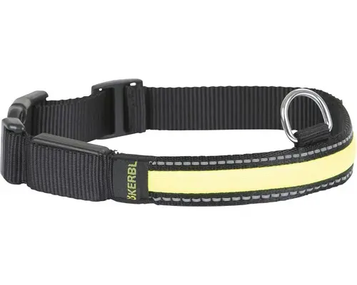 Light & Reflex Leuchthalsband 36-51cm