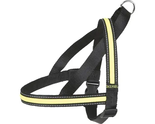 Light & Reflex Leuchtgeschirr 80-100cm