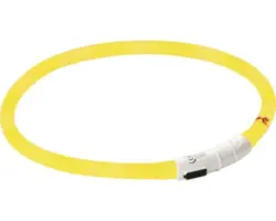 Maxi Safe LED-Halsband, gelb, 55cm