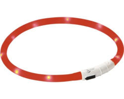 Maxi Safe LED-Halsband, rot, Länge 55 cm