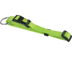 Halsband Miami 20 - 35cm apfelgrün 10mm