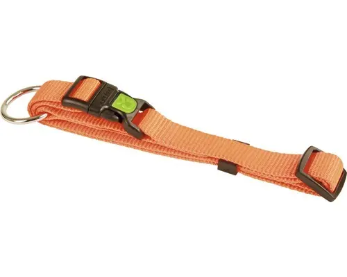 Halsband Miami 20 - 35cm orange 10mm